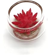 Tiosen Red Miniature Potted Plant, Artificial Plant Decor for Micro Landscape for Micro Landscape...