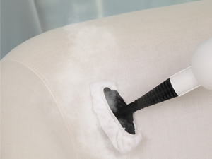 Cleaning Sofas