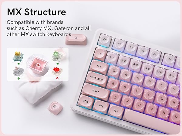 keycap set is compatible with most MX-style mechanical switches