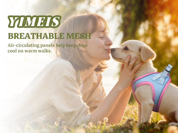 BREATHABLE MESH