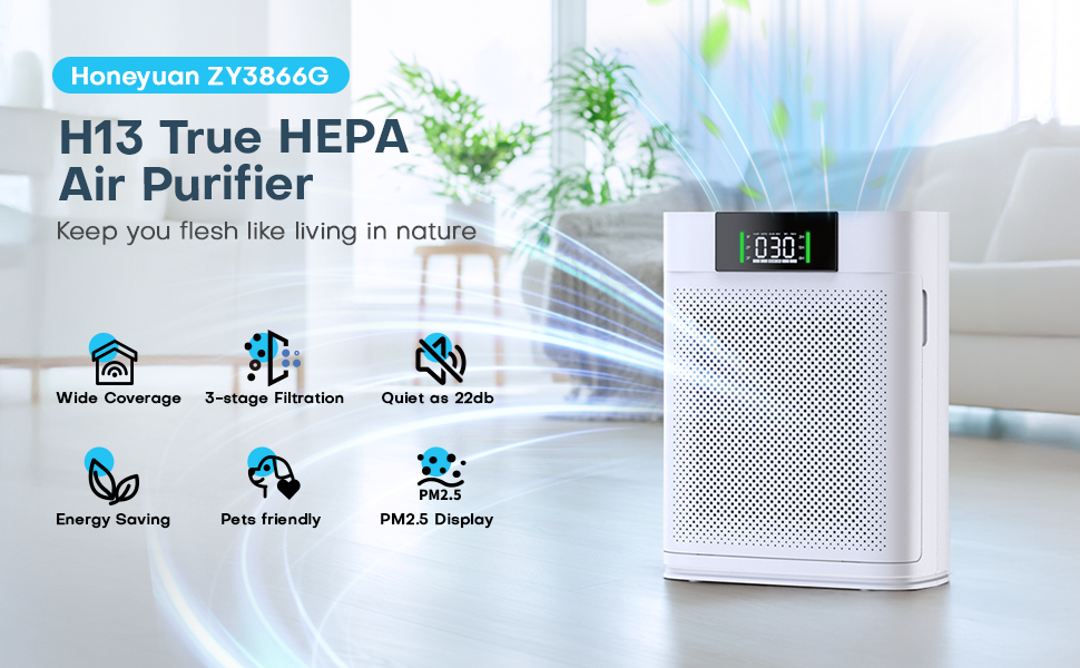 ZY3866G5