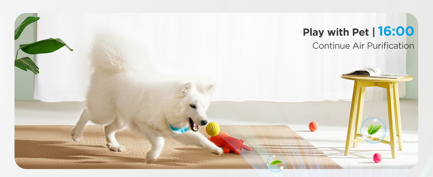 Continue Air Purification