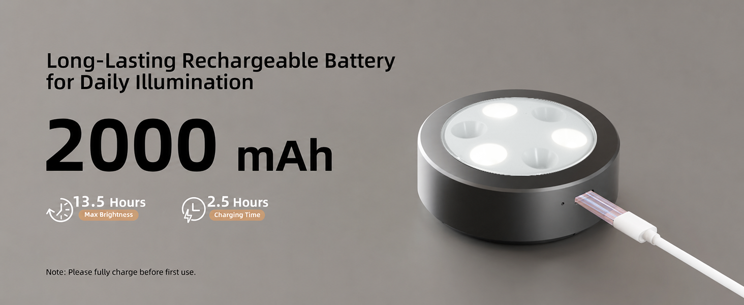 picture light battery operated