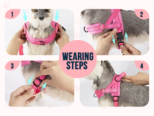 Walking Dog Harness and Leash Set