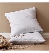 MIULEE 18x18 Pillow Inserts, Pack of 2 Down Feather Throw Pillow Inserts, Decorative Fluffy Throw...
