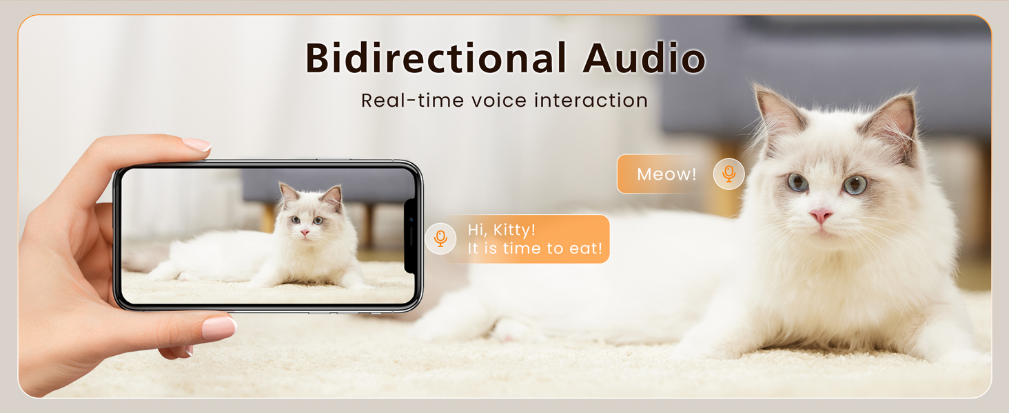 Automatic cat Feeder