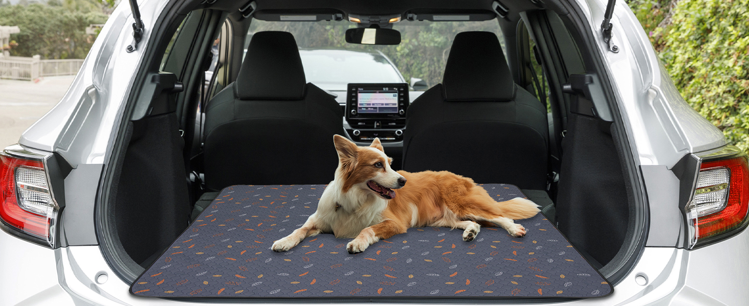 Car Seat Cover
