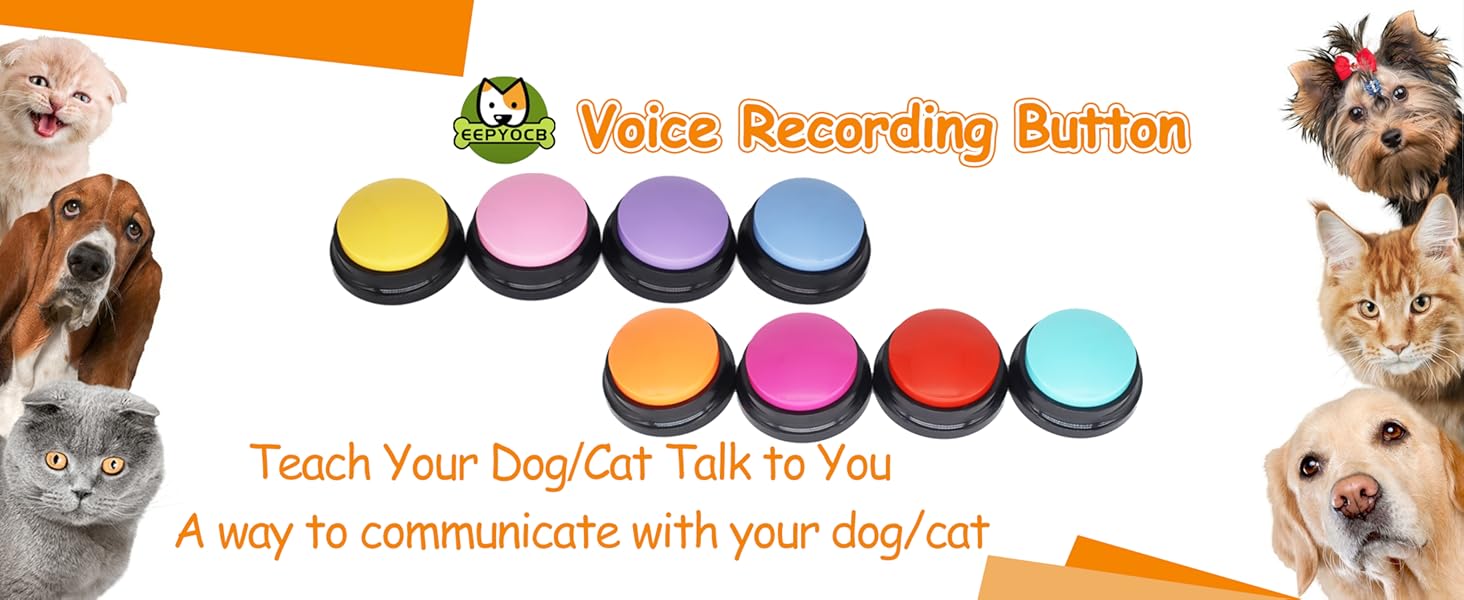 voice recording button