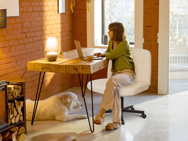 home office chair, living room chair, office chair, conference room chair, vanity chair, salon chair