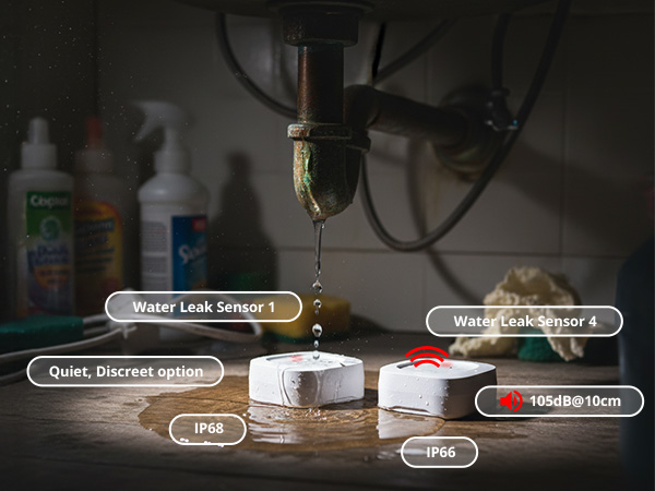Choose the Right Leak Sensor for You