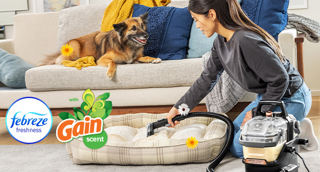 febreze plus gain