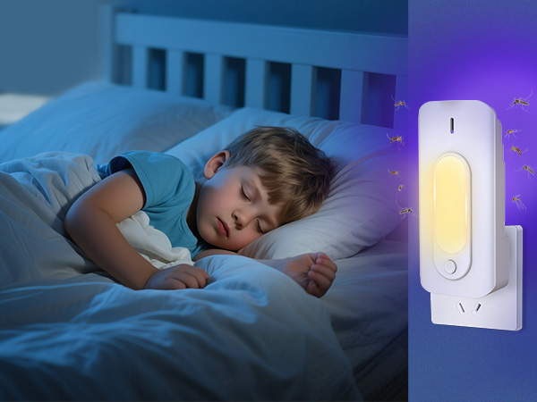 bug traps indoor for home