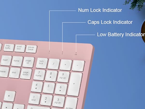keyboard and mouse