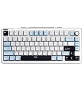 iLovBee B75 Wireless Mechanical Keyboard, Creamy 75% Percent RGB Gaming Keyboard with Knob, Bluet...