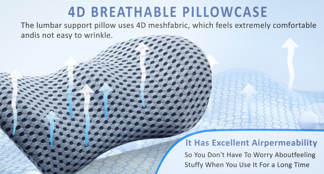 lumbar pillow