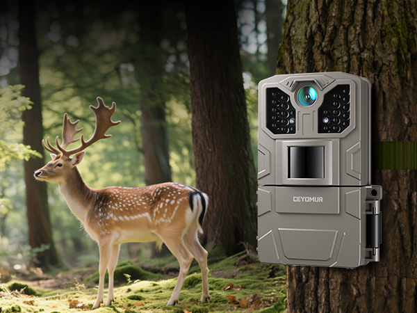 Series of outdoor trail camera photos showing deer in natural woodland settings, with a game camera visible in some shots.