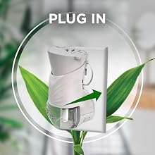 Plug In