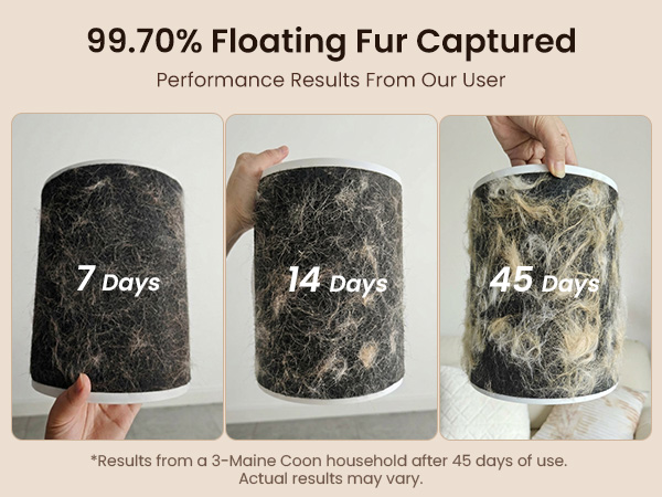 pet hair air purifier