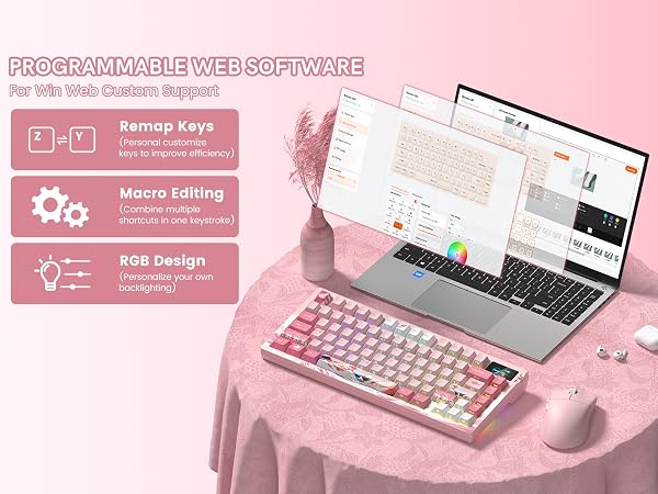 PROGRAMMABLE WEB SOFTWARE