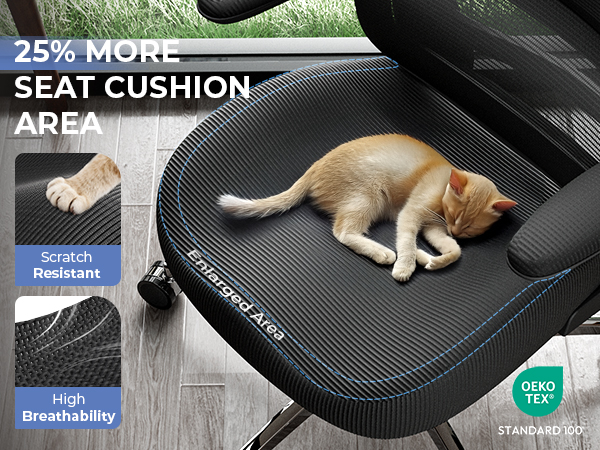 ergonomic office chair