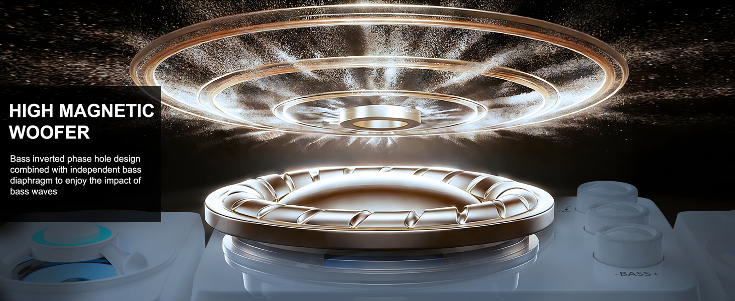 HIGH MAGNETIC WOOFER