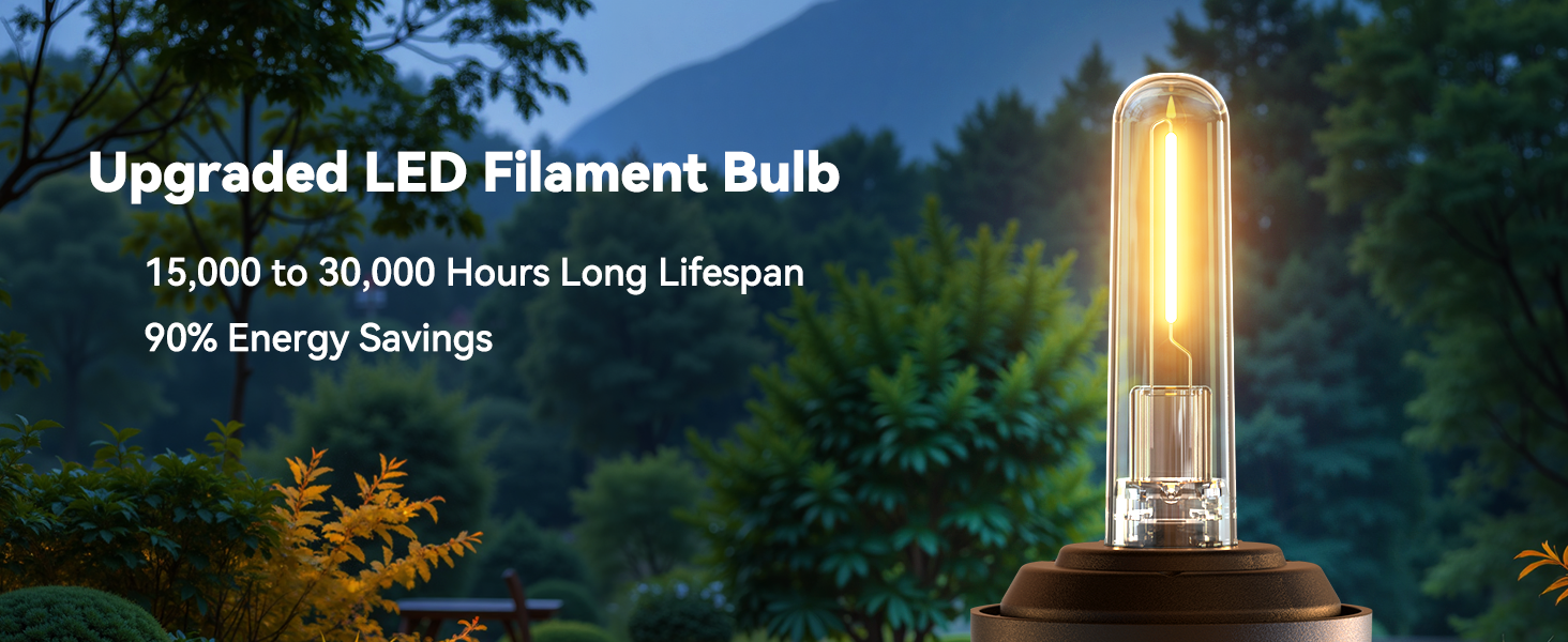 bulb