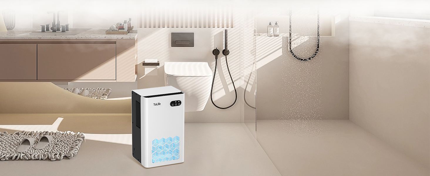 dehumidifier for bathroom