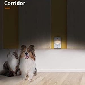 night light for bedroom