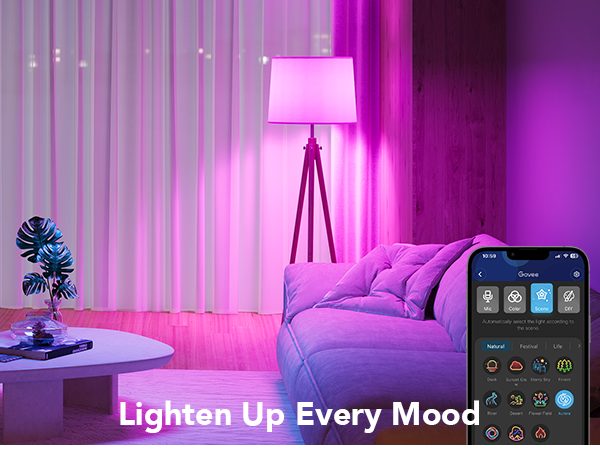 Govee indoor lighting