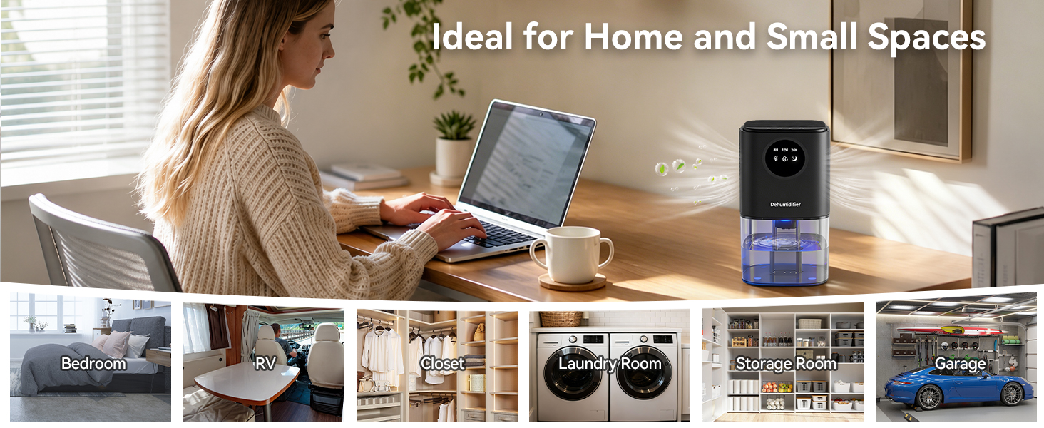 Dehumidifier
