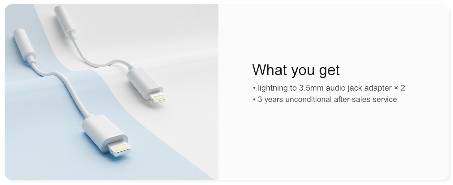 2 pack Lightning to 3.5mm audio adapte