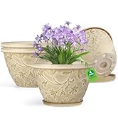 Nooulap 4 Pack 10 Inch Plant Pot with Drainage &amp; Saucer, Plastic Flower Pots Outdoor Indoor, Beig...