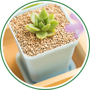 4 Square Plants Nursery Pot