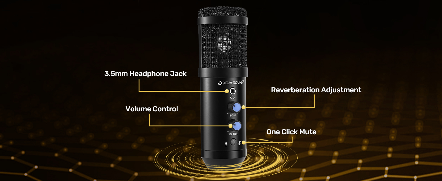 Studio Recording Microphone