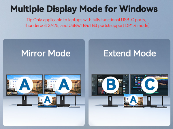 multiple display usb c ports