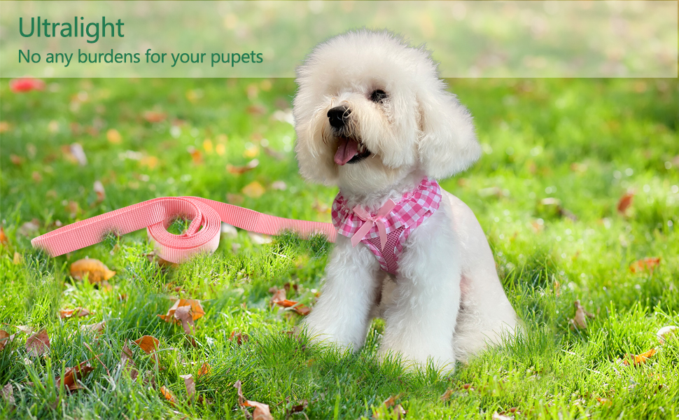 Pink Dog Harness
