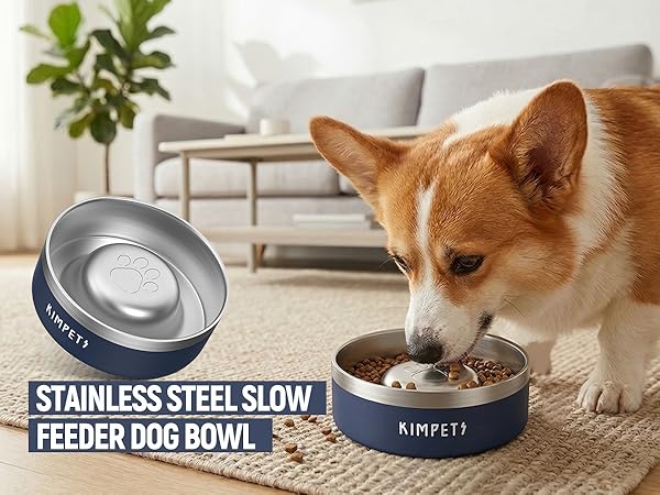Dog Slow Feeder Bowl