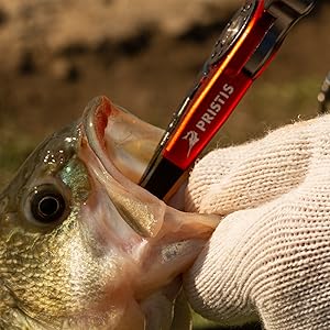 Remove Hook