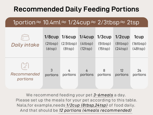timed auto cat feeder