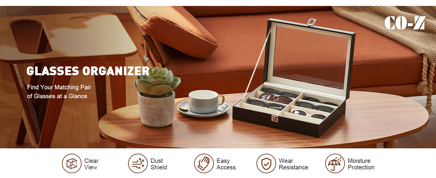 Eyeglasses Eyewear Display Case