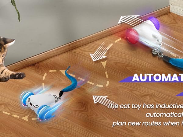 automatic cat toy