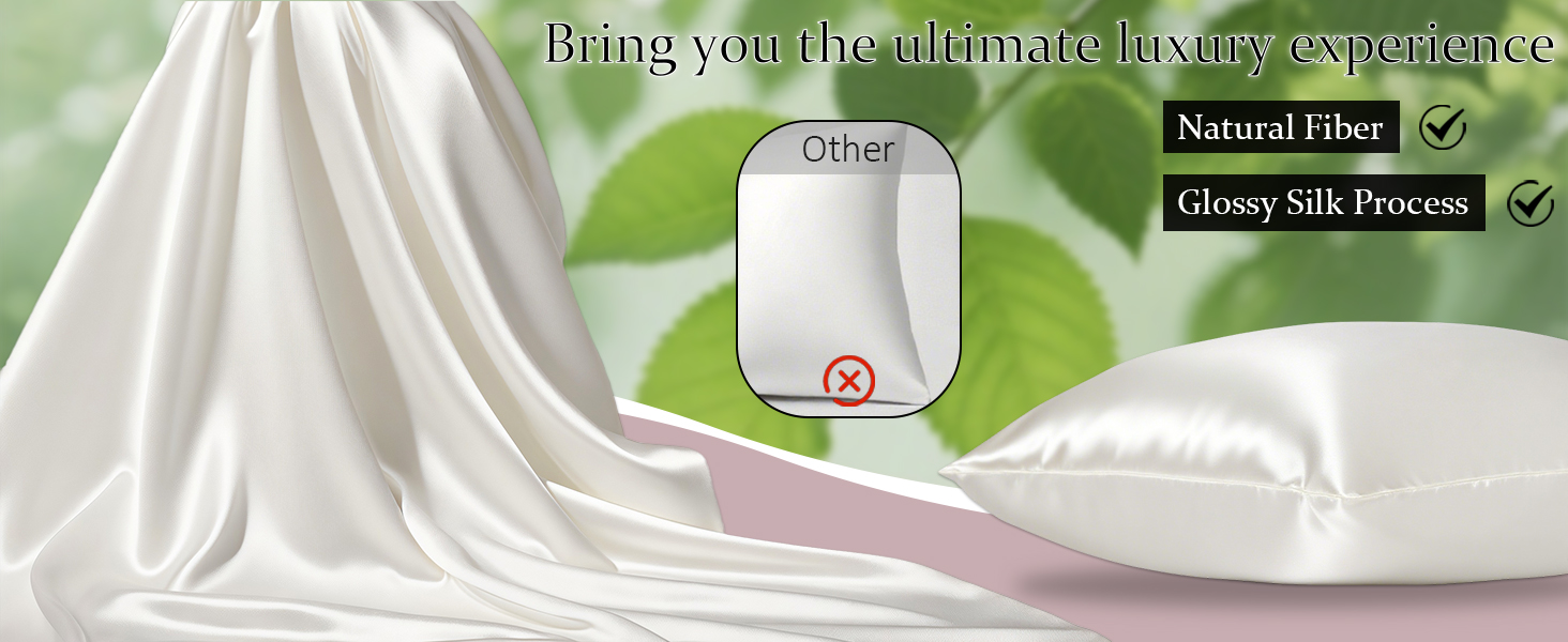 Mulberry Silk Pillow Cases Silk Satin Pillowcase for Hair and Skin, Gifts for Women