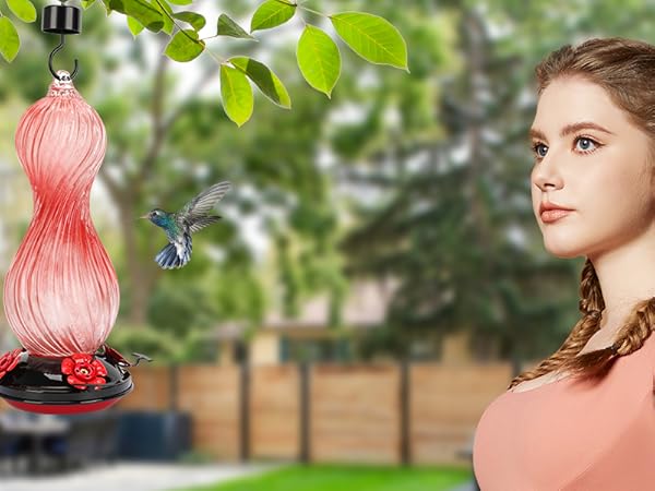 Watch your favorite hummingbird anytime!