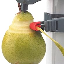 pear