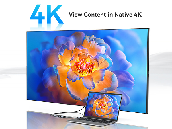 usb c dual hdmi multiple monitor docking station