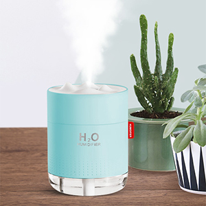 Portable Humidifier