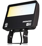LEONLITE 3CCT LED Flood Light Dusk to Dawn, 100W/80W/60W Selectable, Adjustable Trunnion Mount Se...