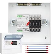 100A Automatic Transfer Switch,220V Generator Transfer Switch,Millisecond Level Dual Power Automa...