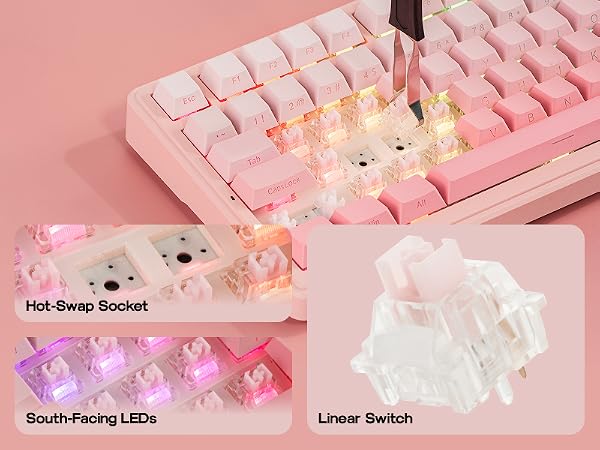 F99 Pink