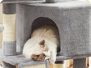 Small beige or gray cat bed with plush cushioning shown empty and with a cat using it, demonstrating its cozy design and functionality.
